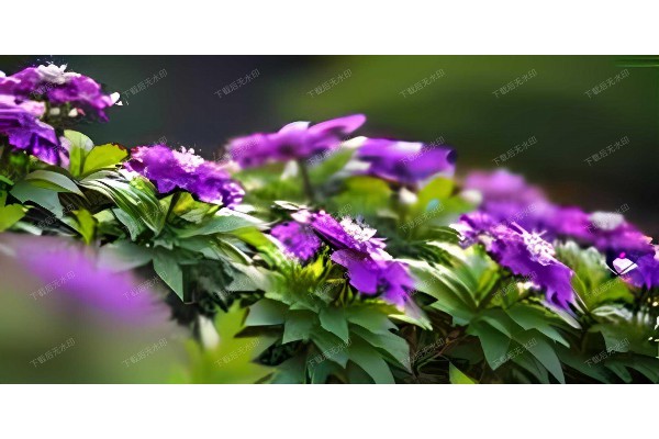 武汉街头巷尾，这些茶馆谈事正当时