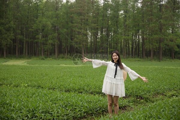 靠湖而坐,武汉空旷地喝茶新体验 靠湖而坐,武汉空旷地喝茶新体验